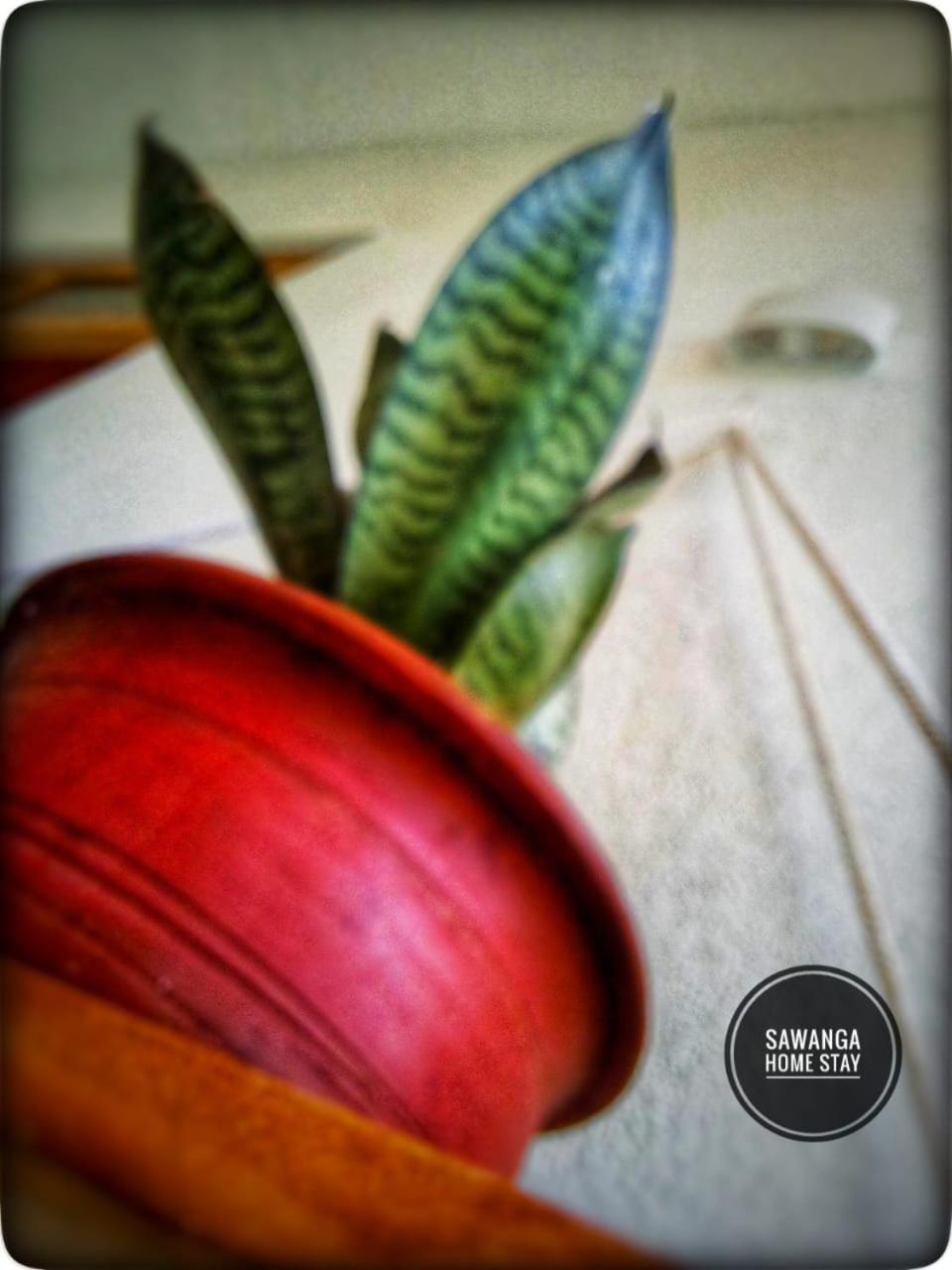Sawanga Home Stay Weligama Bagian luar foto
